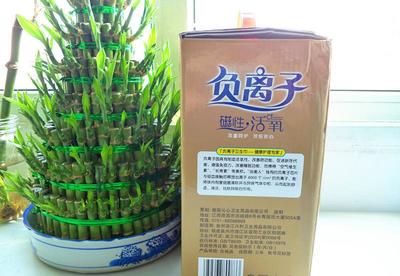 【廠家 沁美人負離子衛(wèi)生巾 超吸收 防側漏 禮盒12包 衛(wèi)生巾】價格_廠家_圖片 -